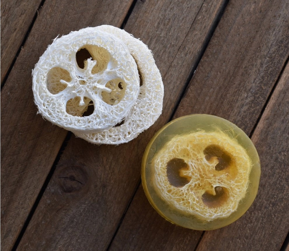 Citrus + Rose Hemp Loofah Soap